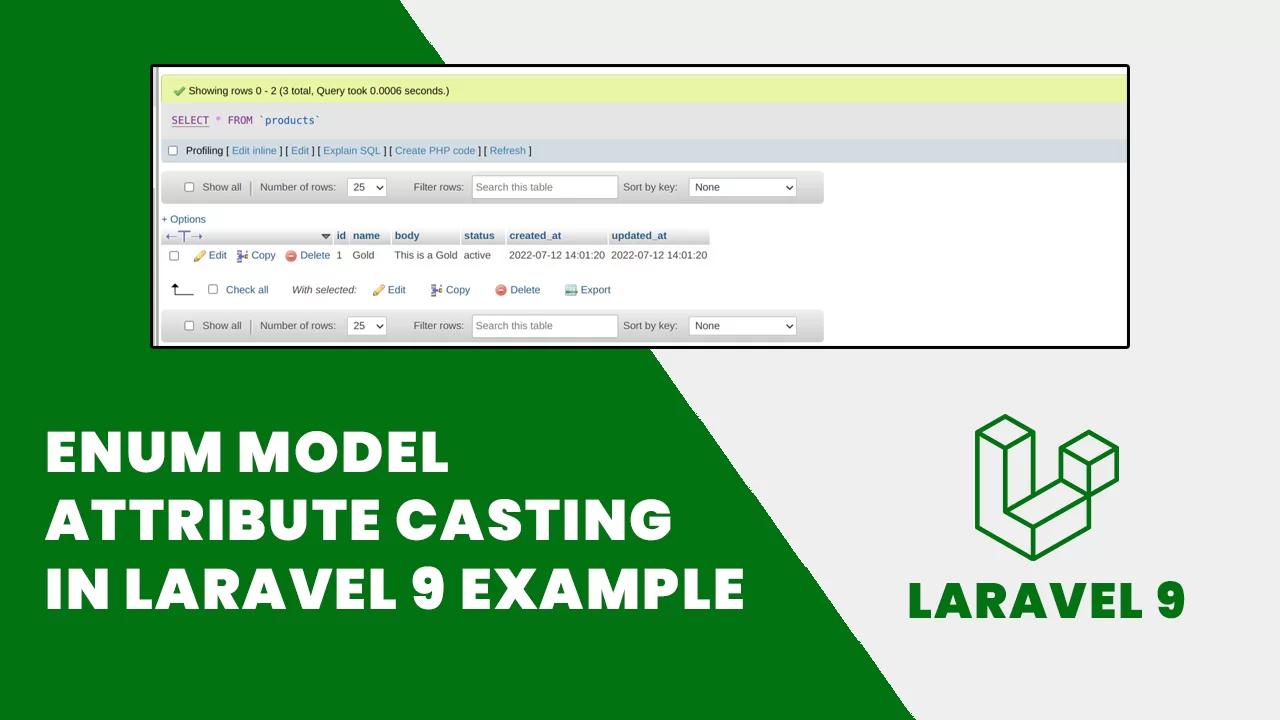 Enum Model Attribute Casting in Laravel 9 Example